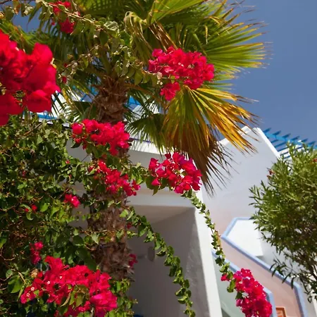 Grupotel Cinco Plazas Lejlighed Puerto del Carmen (Lanzarote)