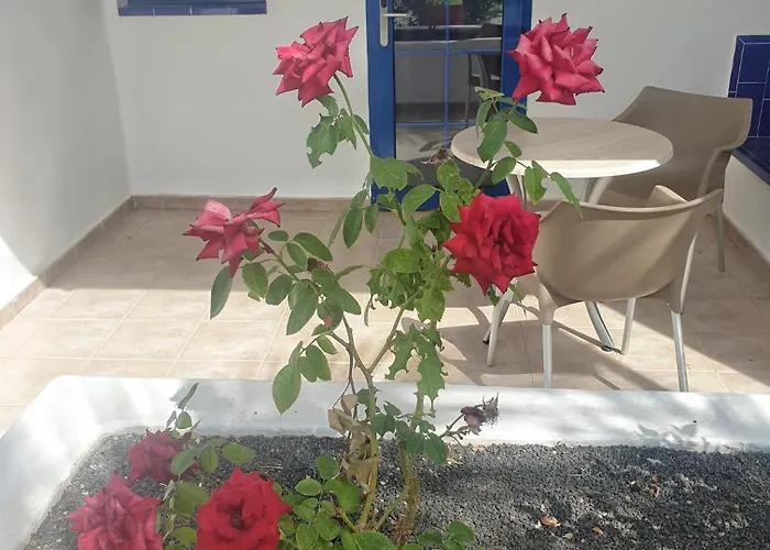 Lägenhet Grupotel Cinco Plazas