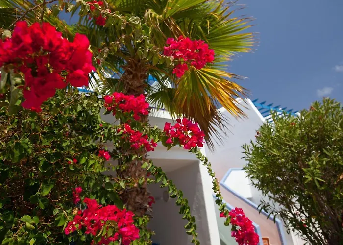 Grupotel Cinco Plazas Lejlighed Puerto del Carmen (Lanzarote)